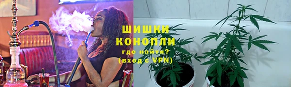 шишки Чердынь