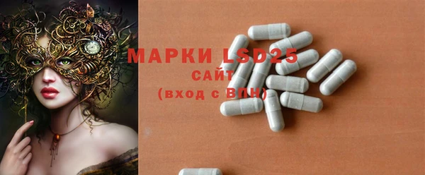 шишки Чердынь