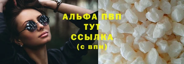 шишки Чердынь