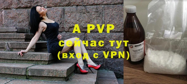крисы Чегем