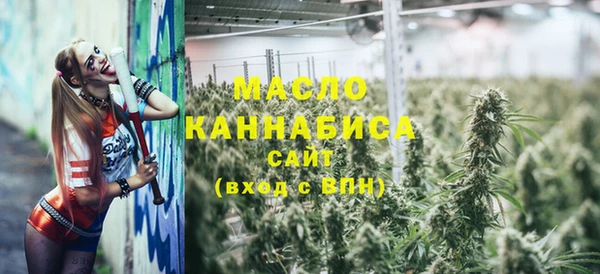 шишки Чердынь