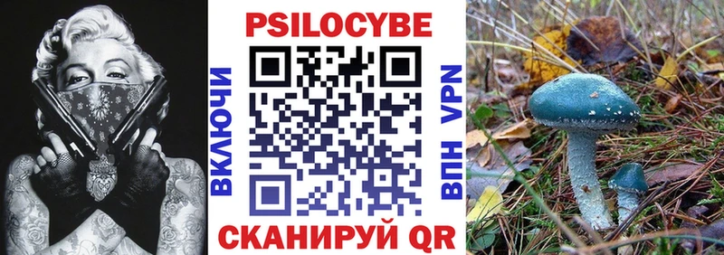 купить   Первоуральск  Псилоцибиновые грибы Psilocybine cubensis 