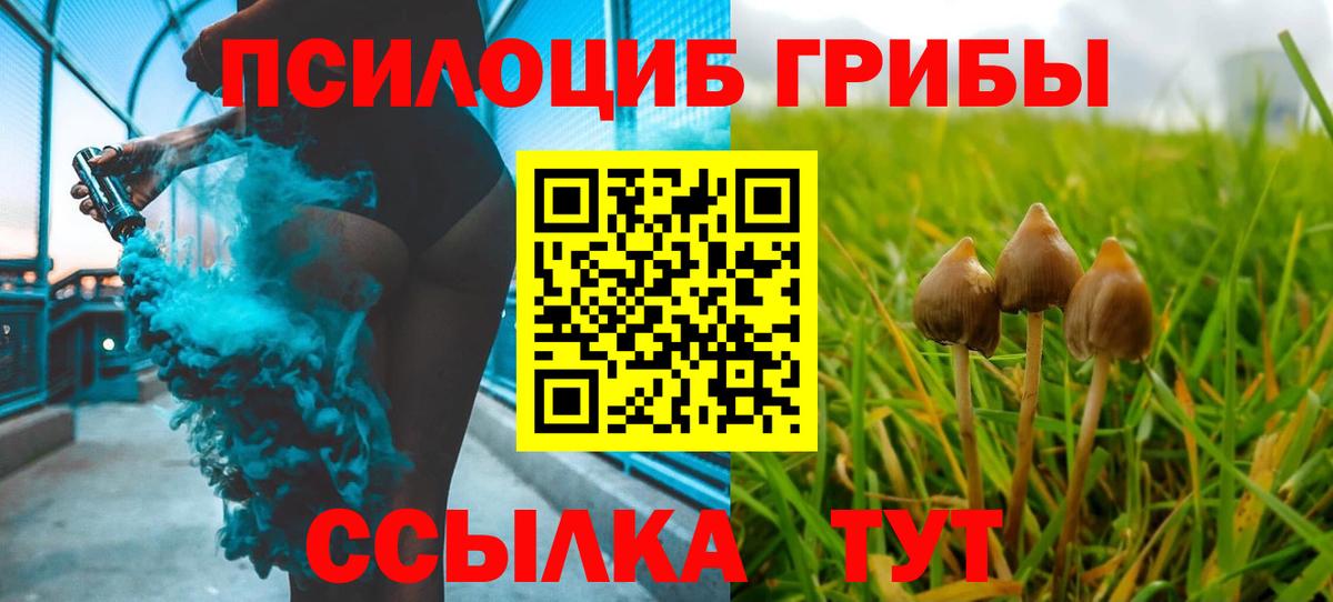 Галлюциногенные грибы Cubensis  купить наркотик  Первоуральск  Вход с VPN 