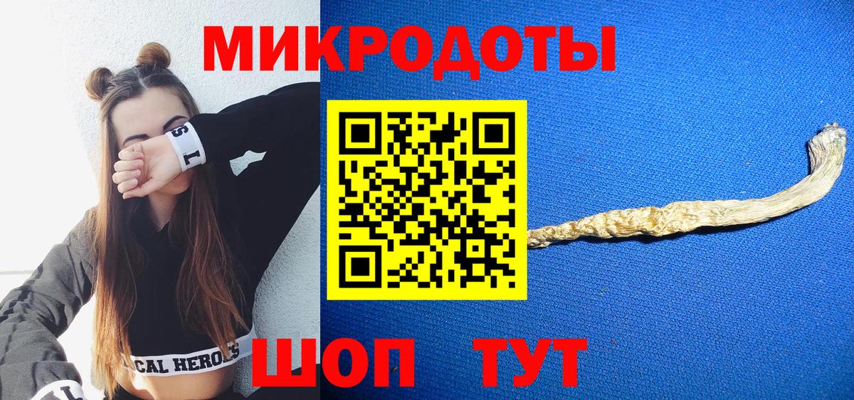 Галлюциногенные грибы Psilocybe Первоуральск